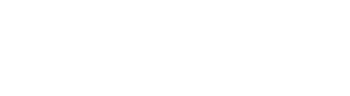 The Ford Group