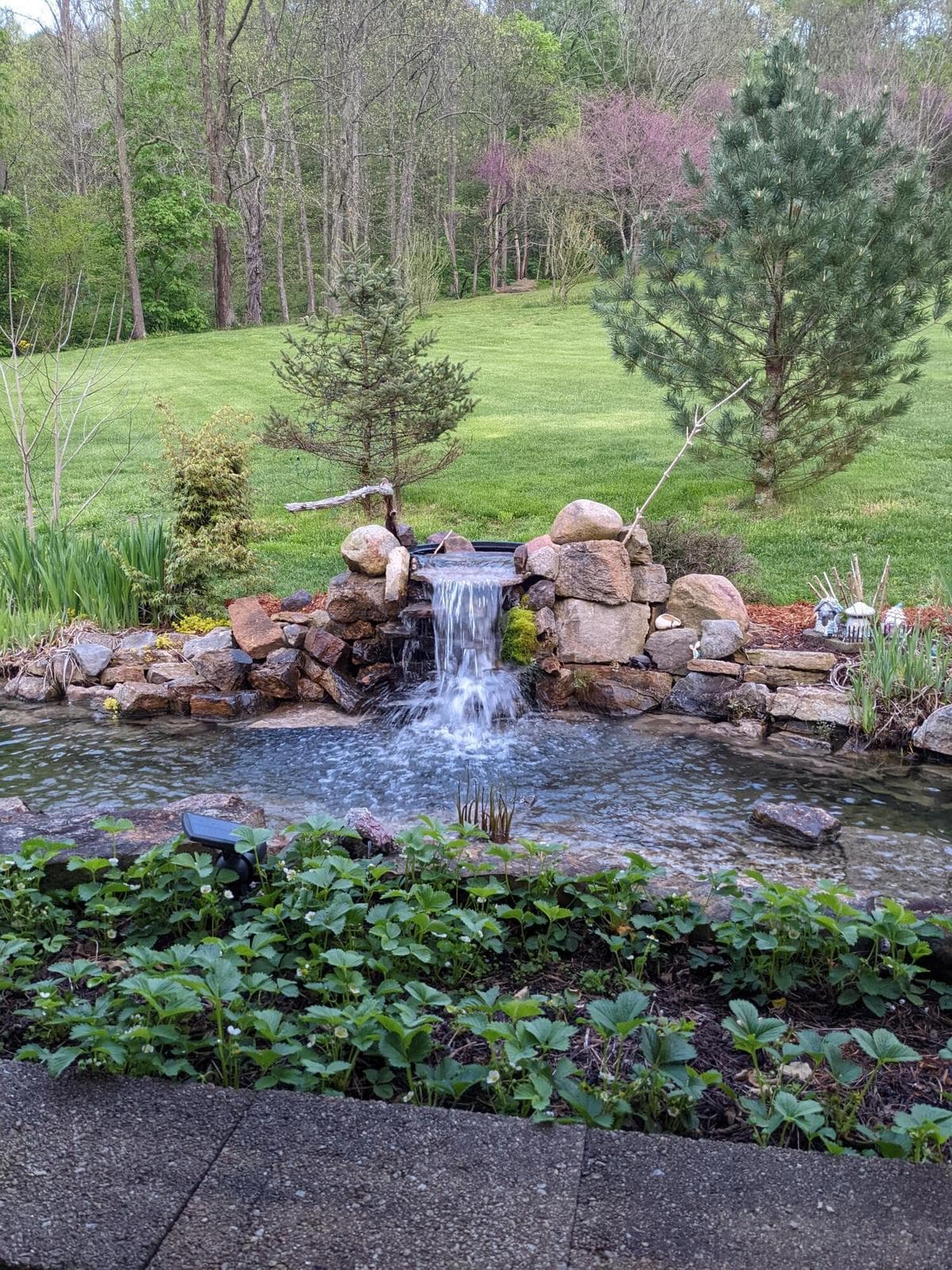 Coy pond with waterfall huge patio...low maintenance and Beauty to behold. Entertaining.