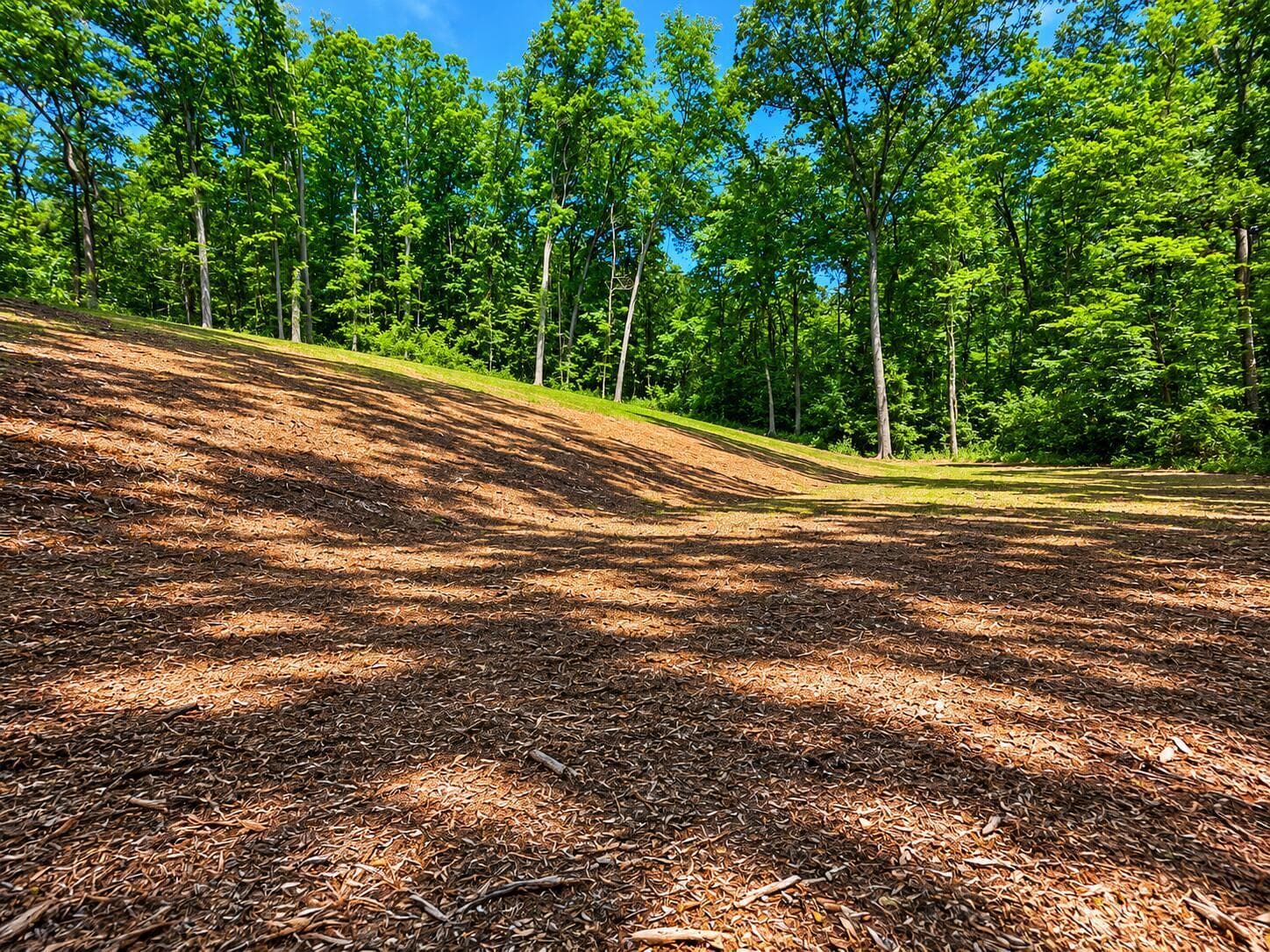 Cleared Lot