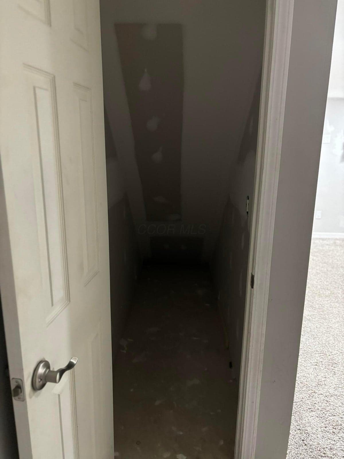 Basement under stairs
