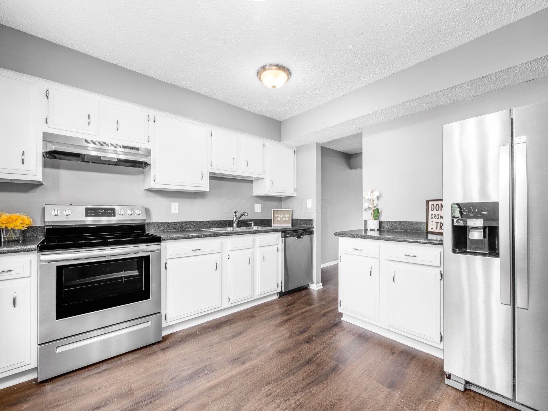 Stainless Steel Appliances