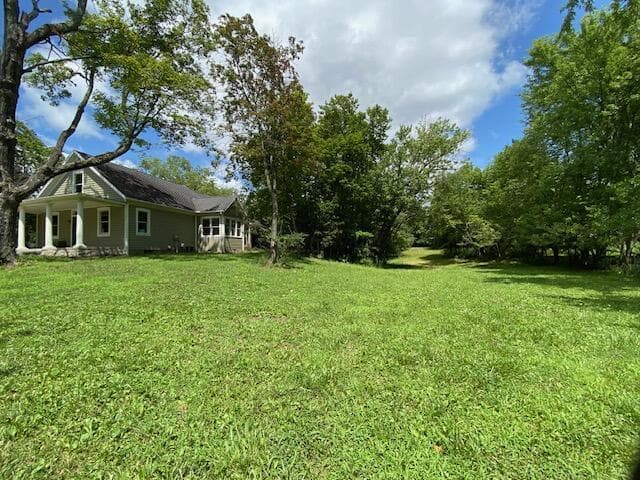 East side of house.