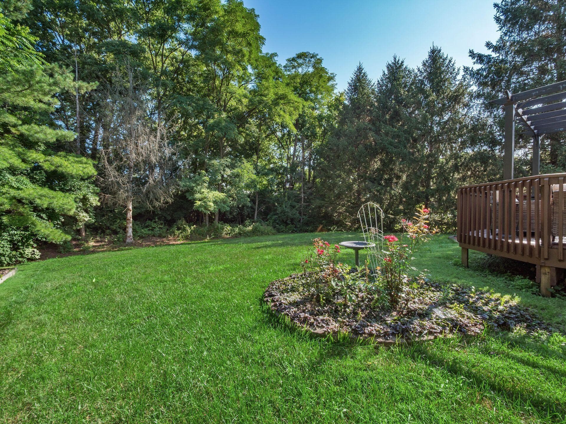 Private wooded lot in the heart of Canal Winchester!