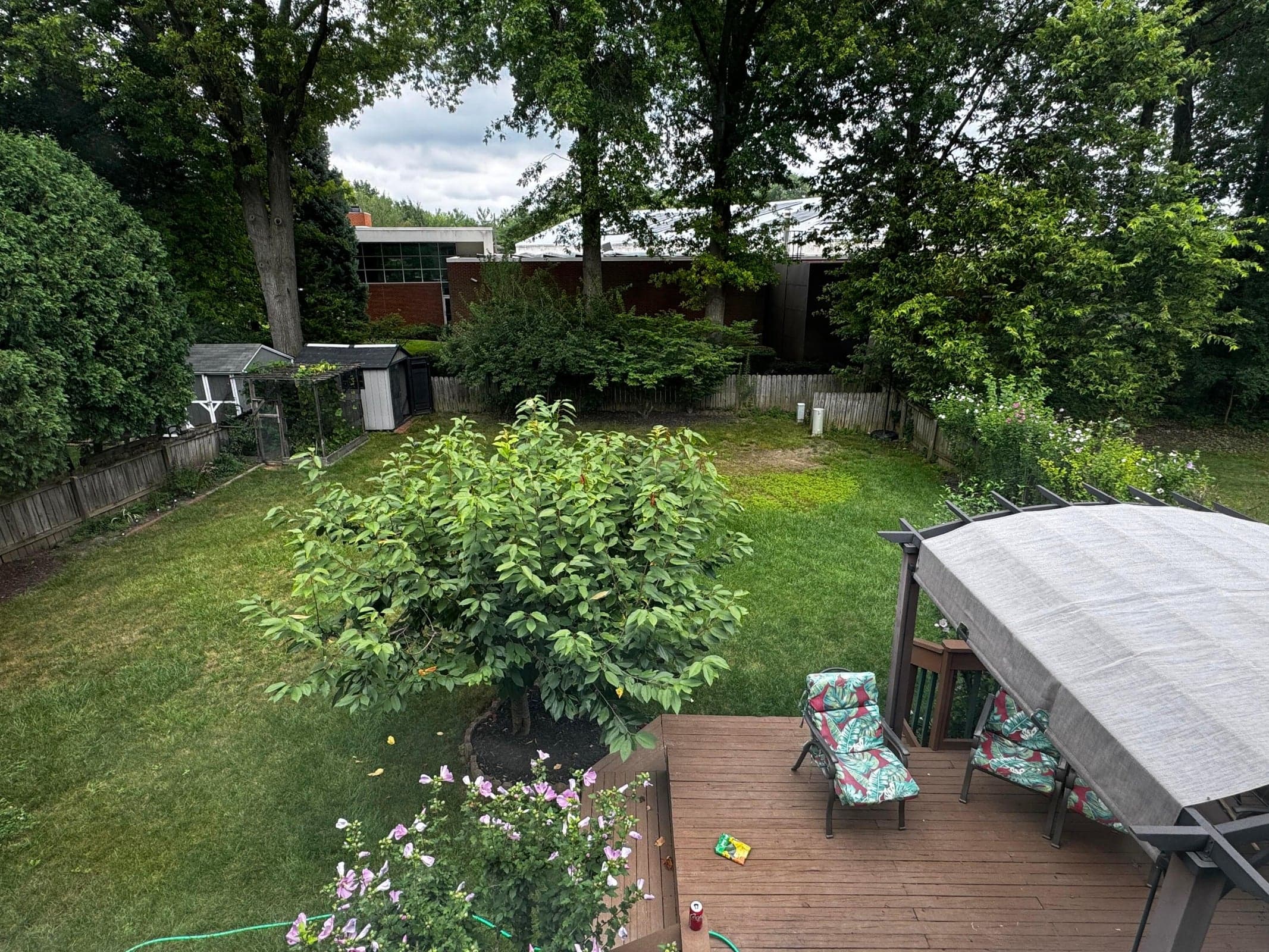 Backyard-fenced in- leading to mature trees, library, sledding hill. Shed and caged garden included