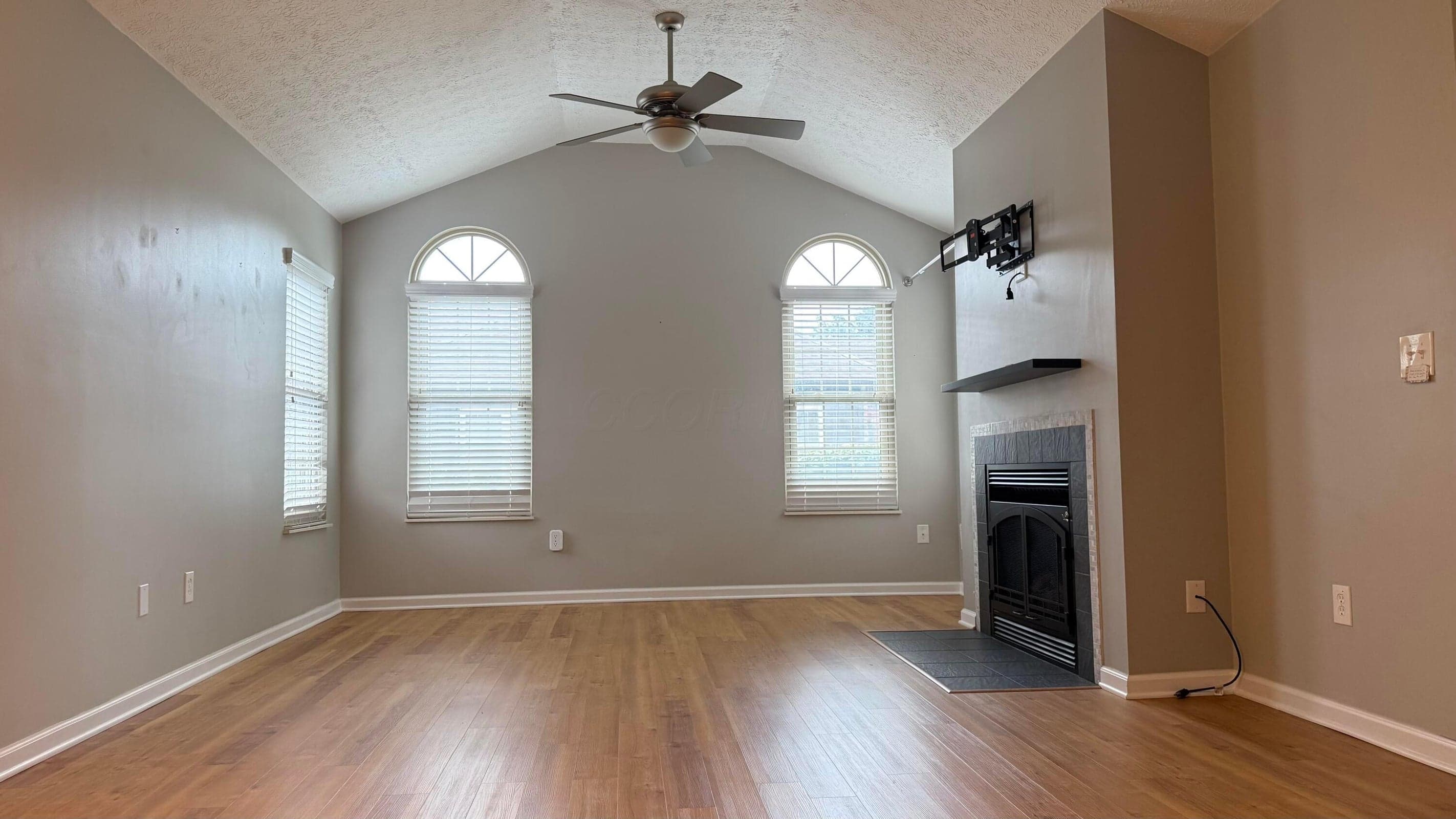 Living room with vaulted ceiling.