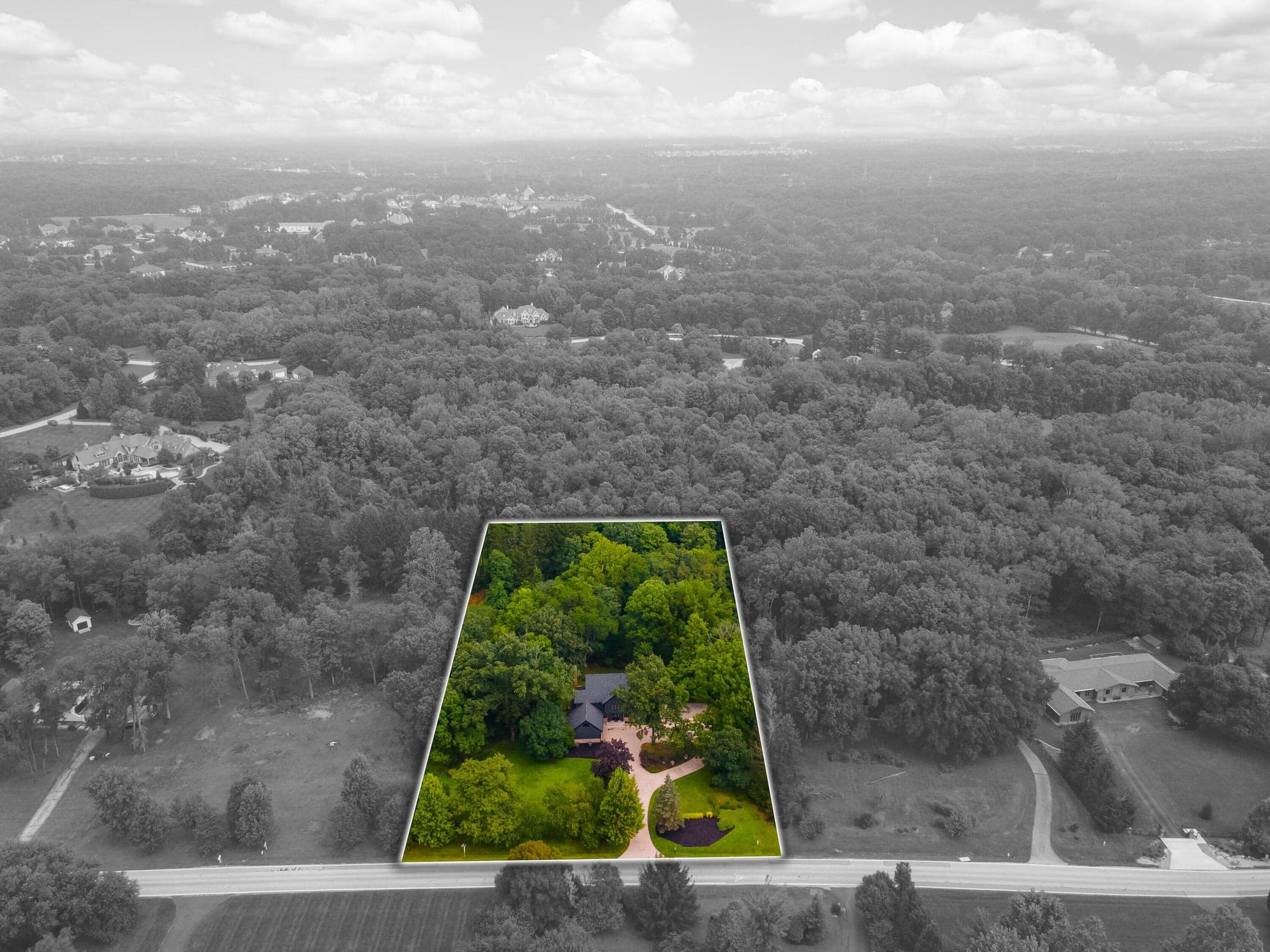 Stunning lot surrounded by trees