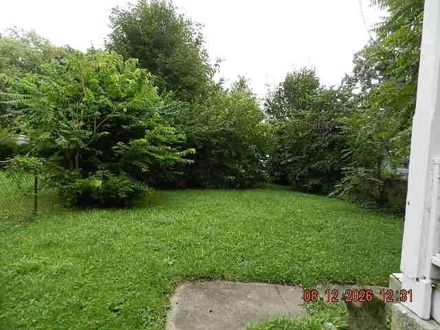 Back yard