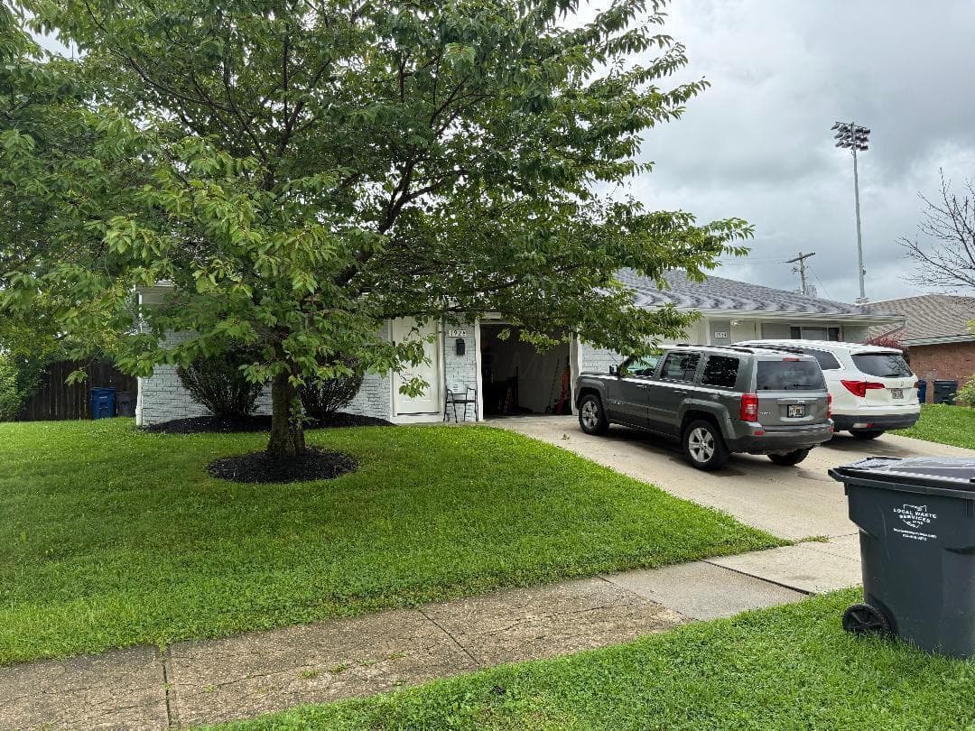 Single-story residence with a light-colored exterior, an attached garage, a paved driveway, a sidewalk, and a mature tree in the front yard