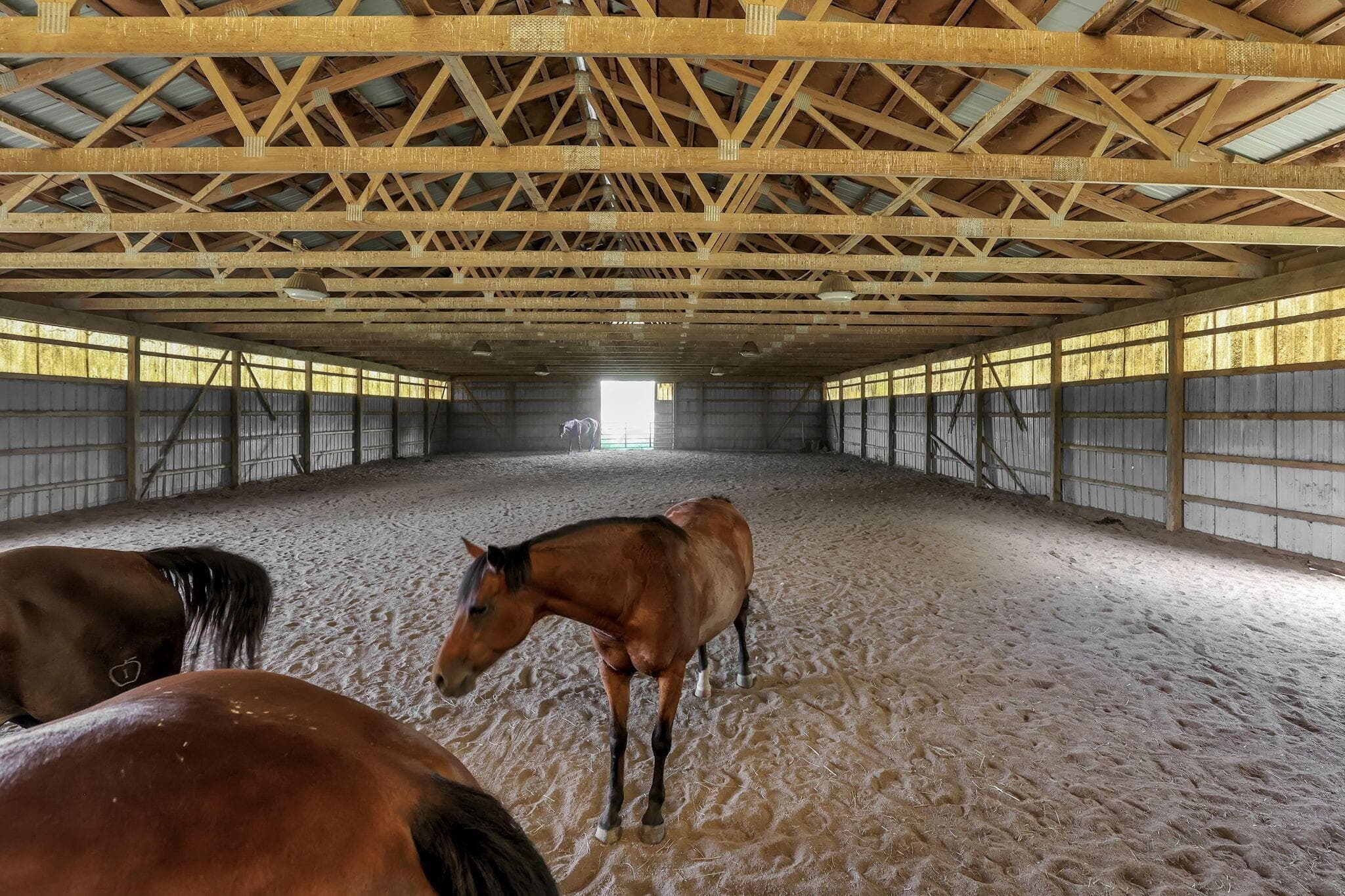 Spacious indoor riding arena