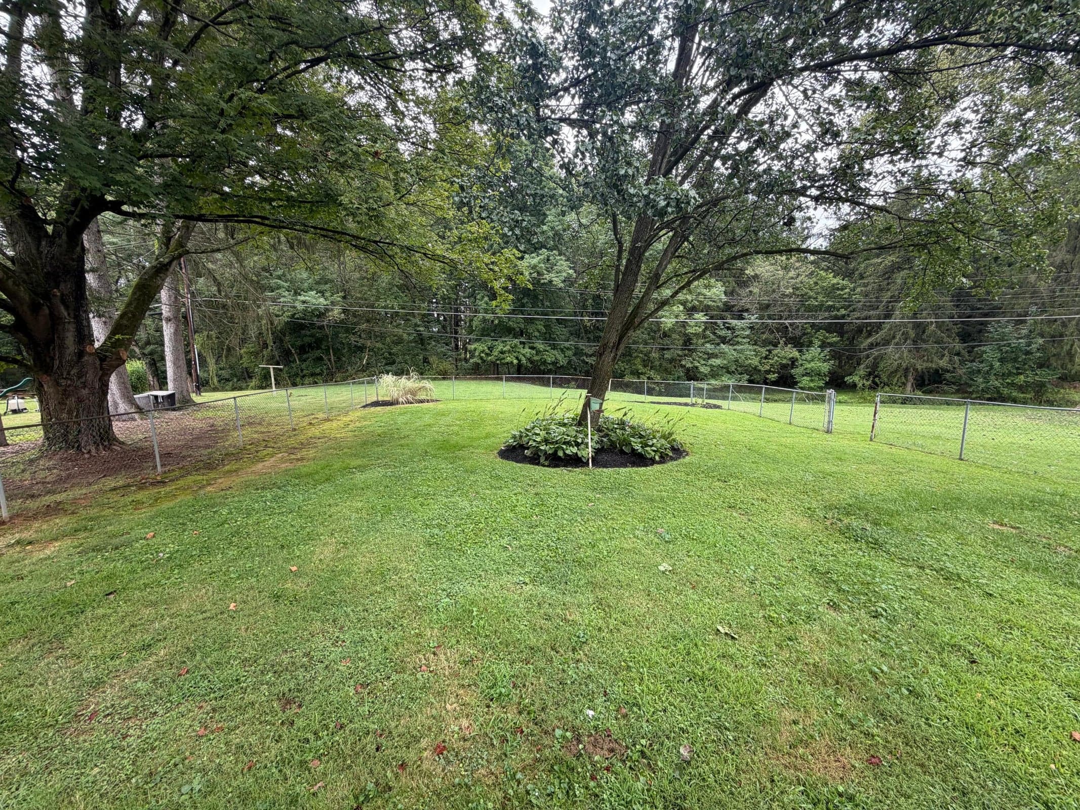 fenced in backyard