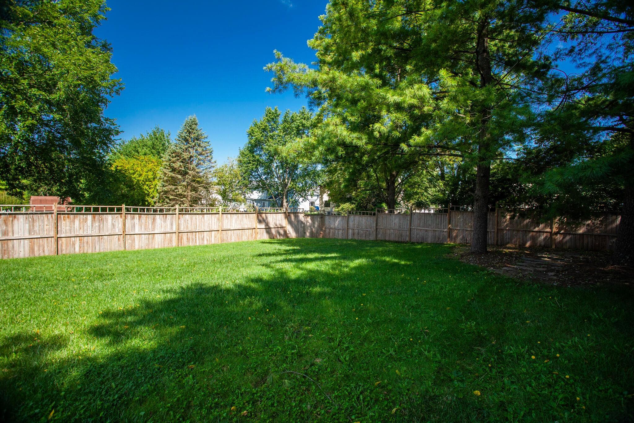 Huge, Fenced Yard