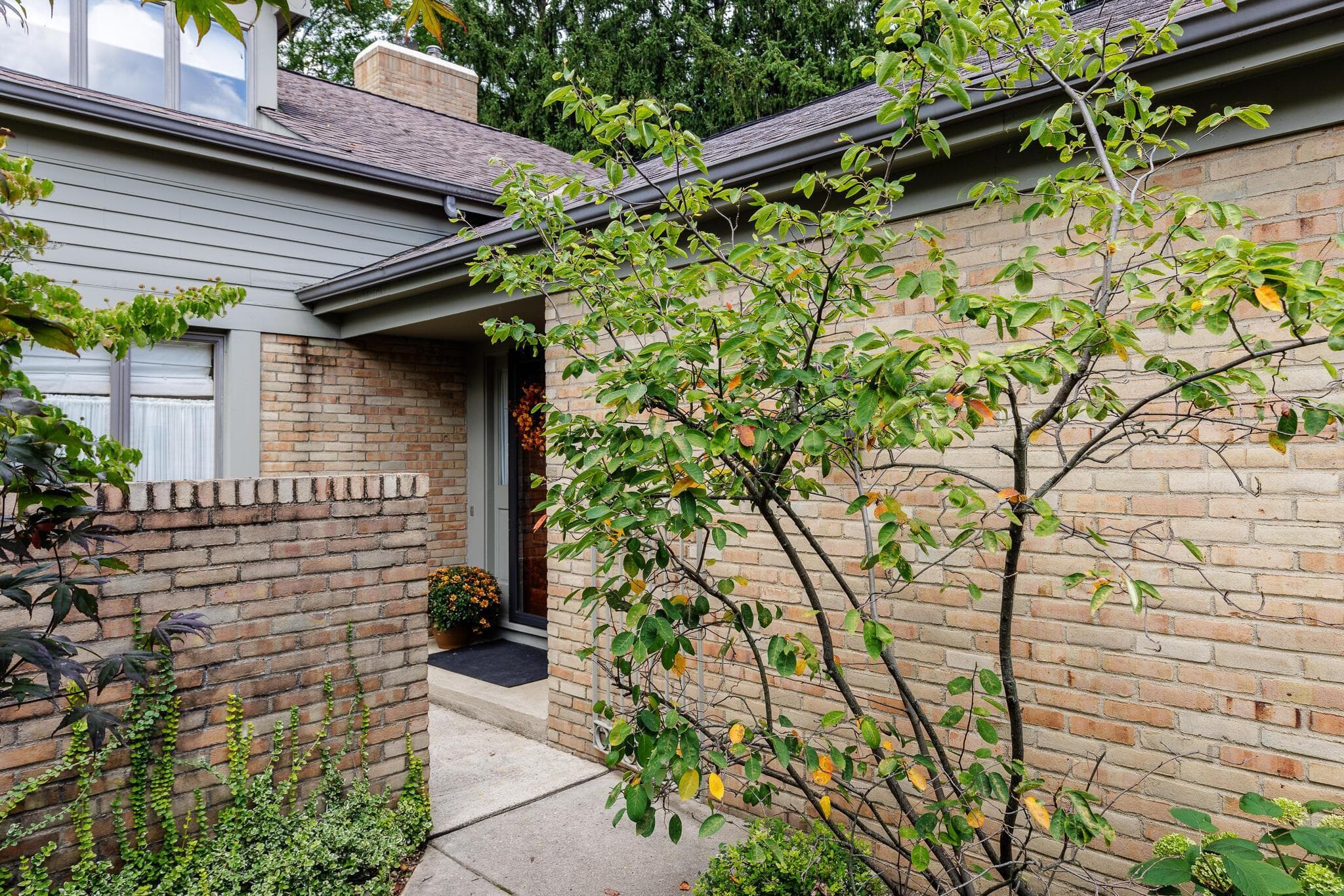 Walkway to front patio and entry to the unit.
