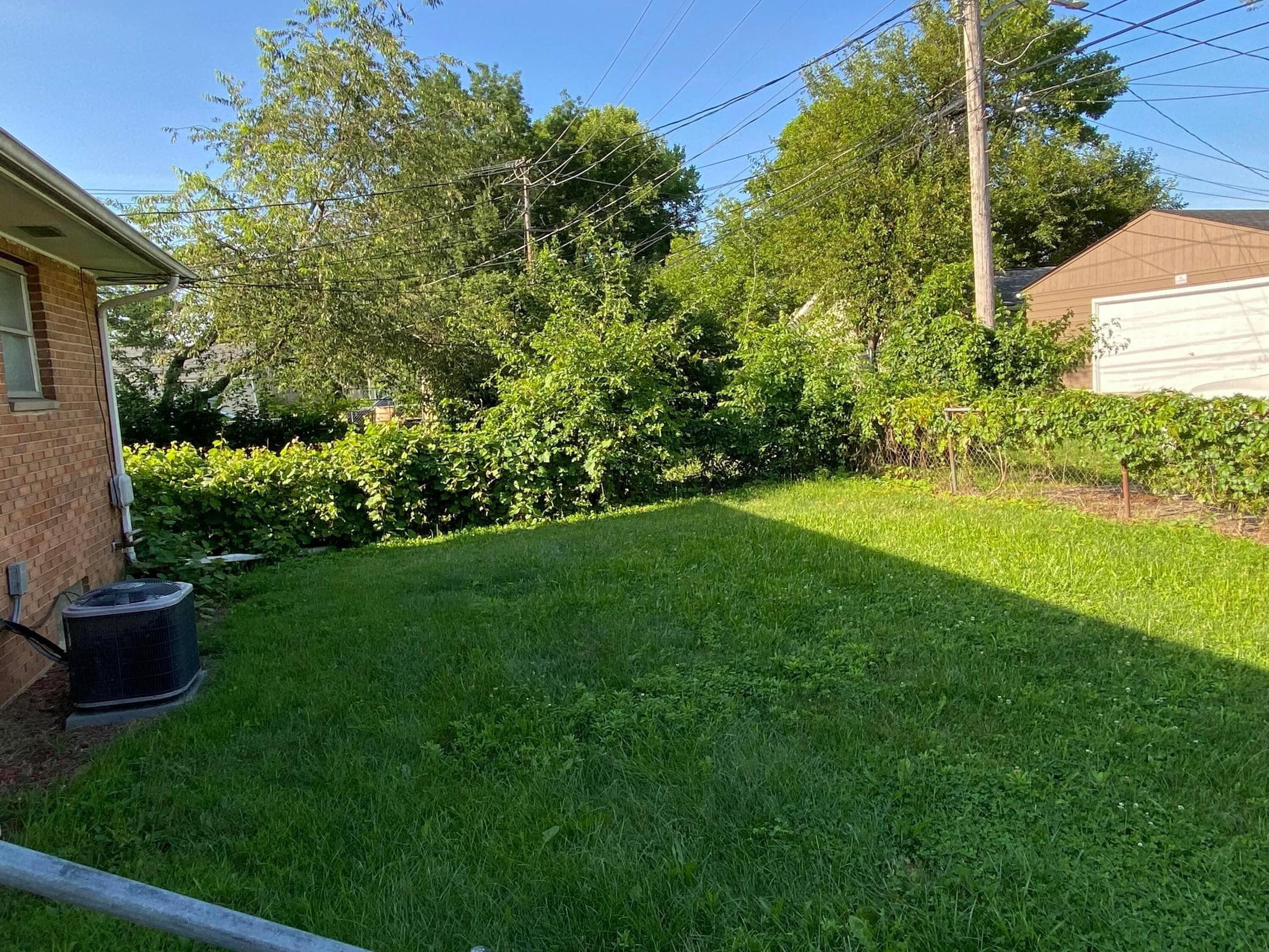 Expansive grassy area with mature perimeter foliage