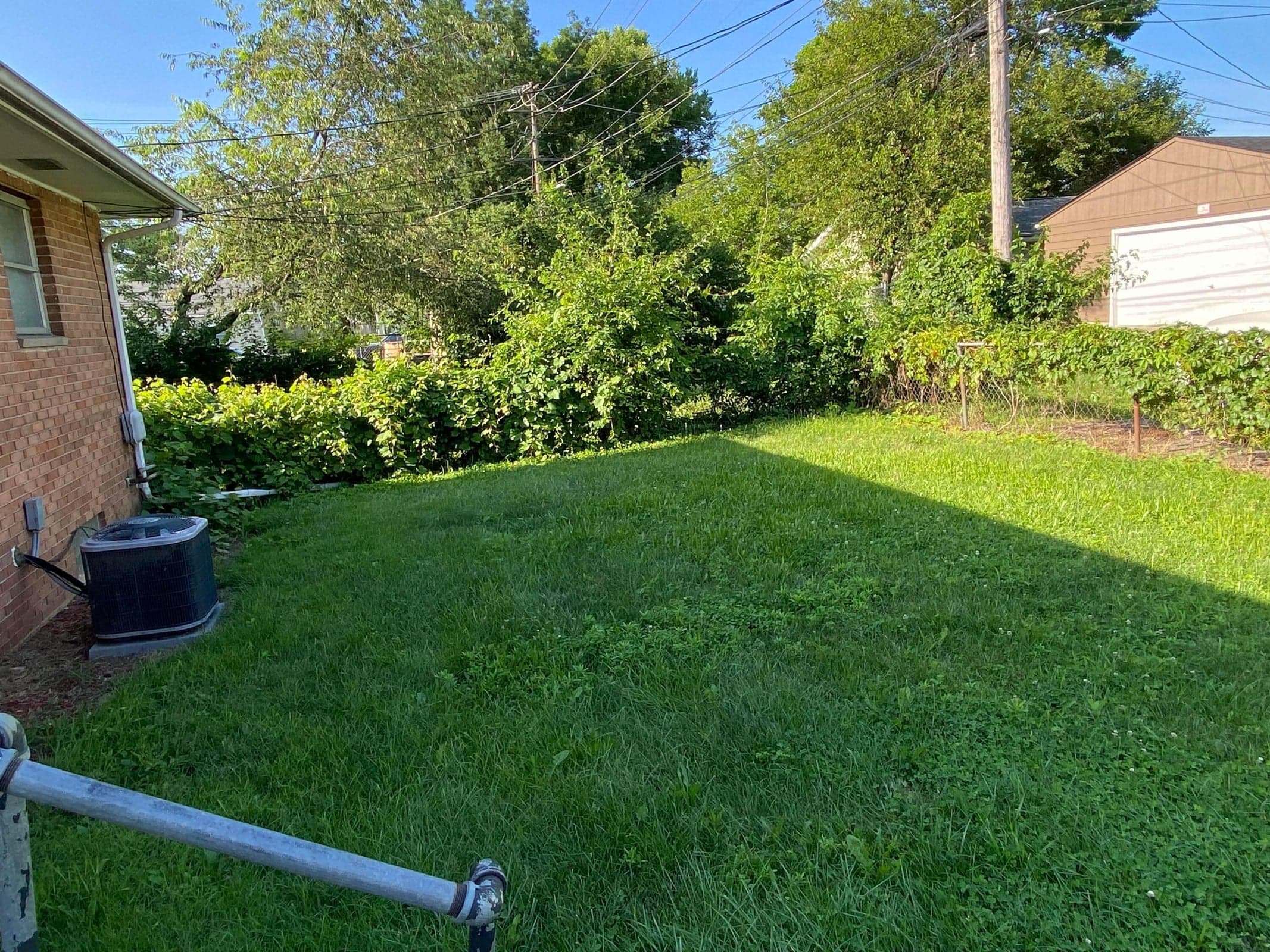 Expansive grassy yard with mature perimeter foliage