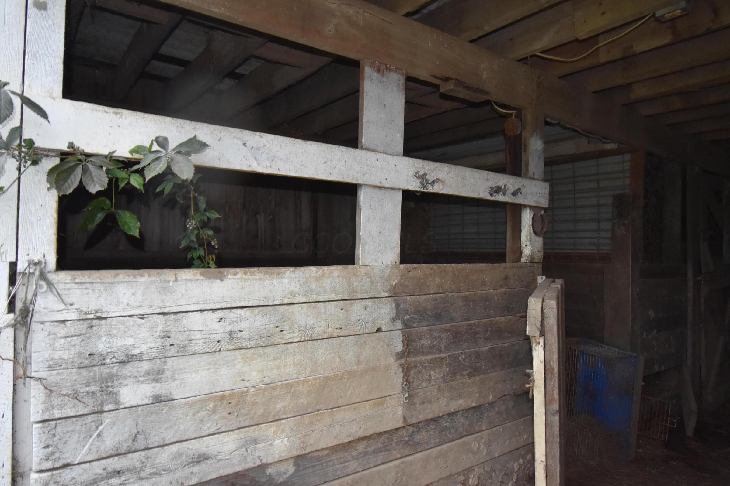 Stall