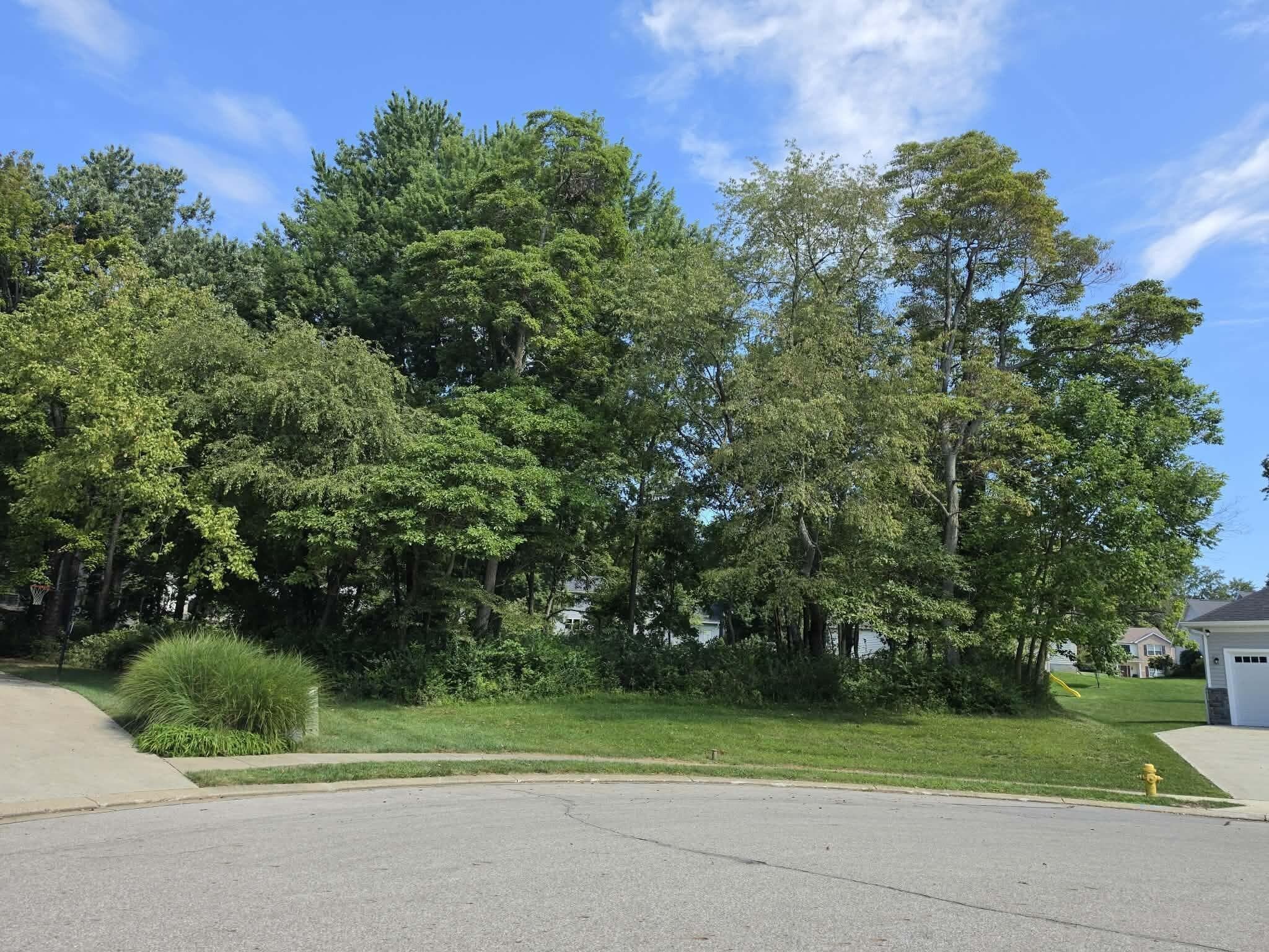 Front of the Lot