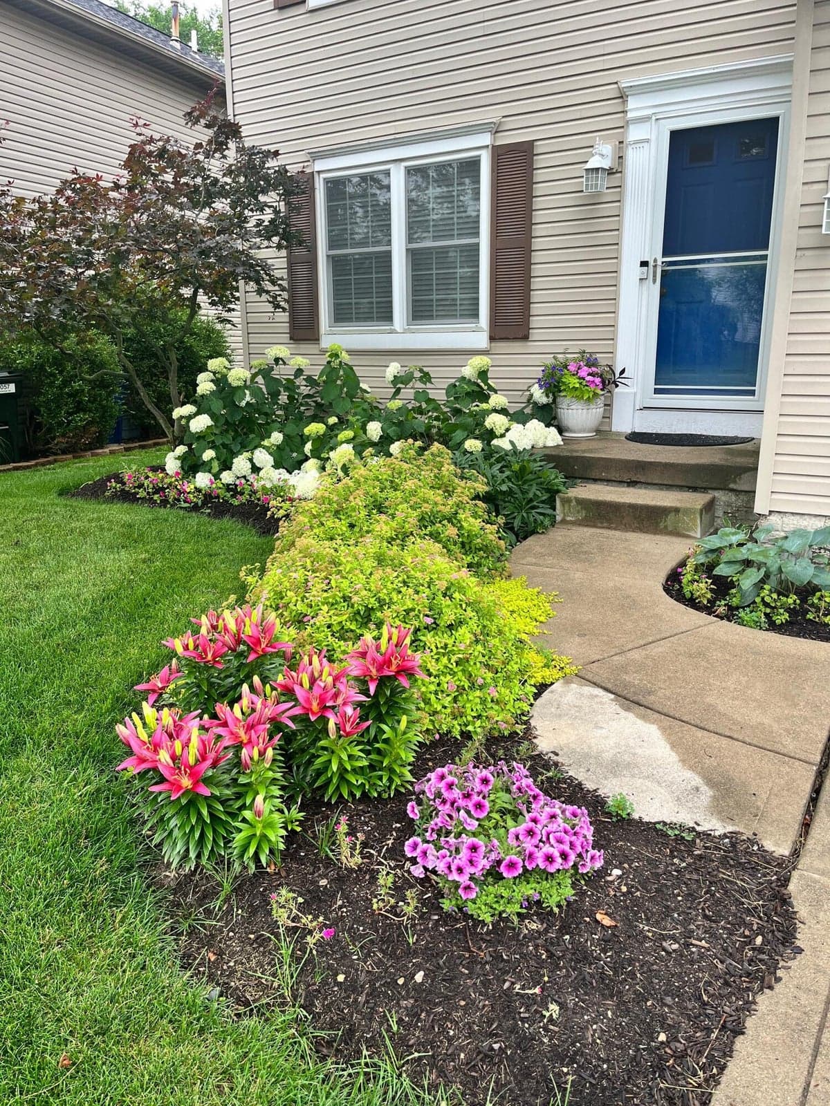 Manicured landscaping with flowering plants and shrubs, concrete pathway, and neutral-toned siding