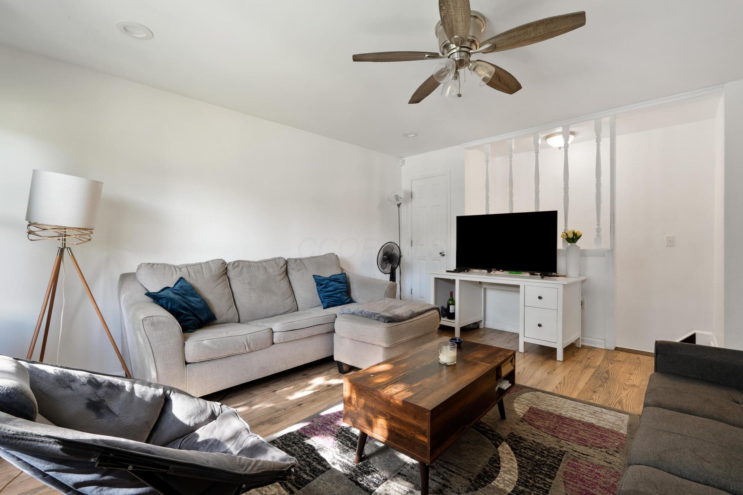 Living room for LL Apt
