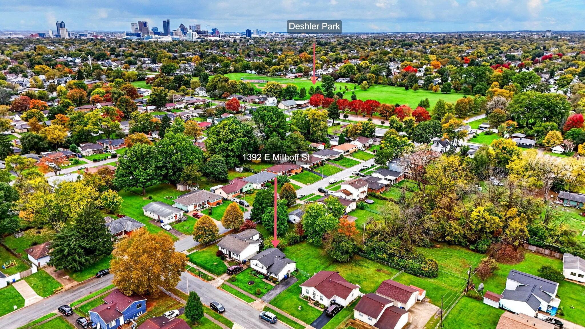 Aerial perspective of residential neighborhood featuring mature trees, expansive green space, and urban skyline backdrop