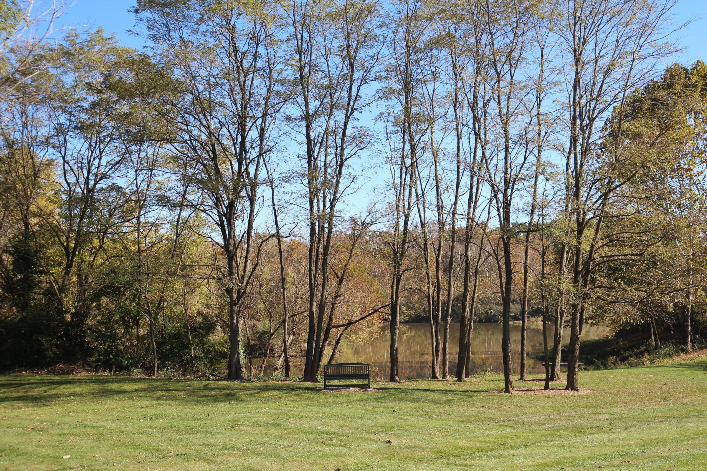 Zellers Acres Pond