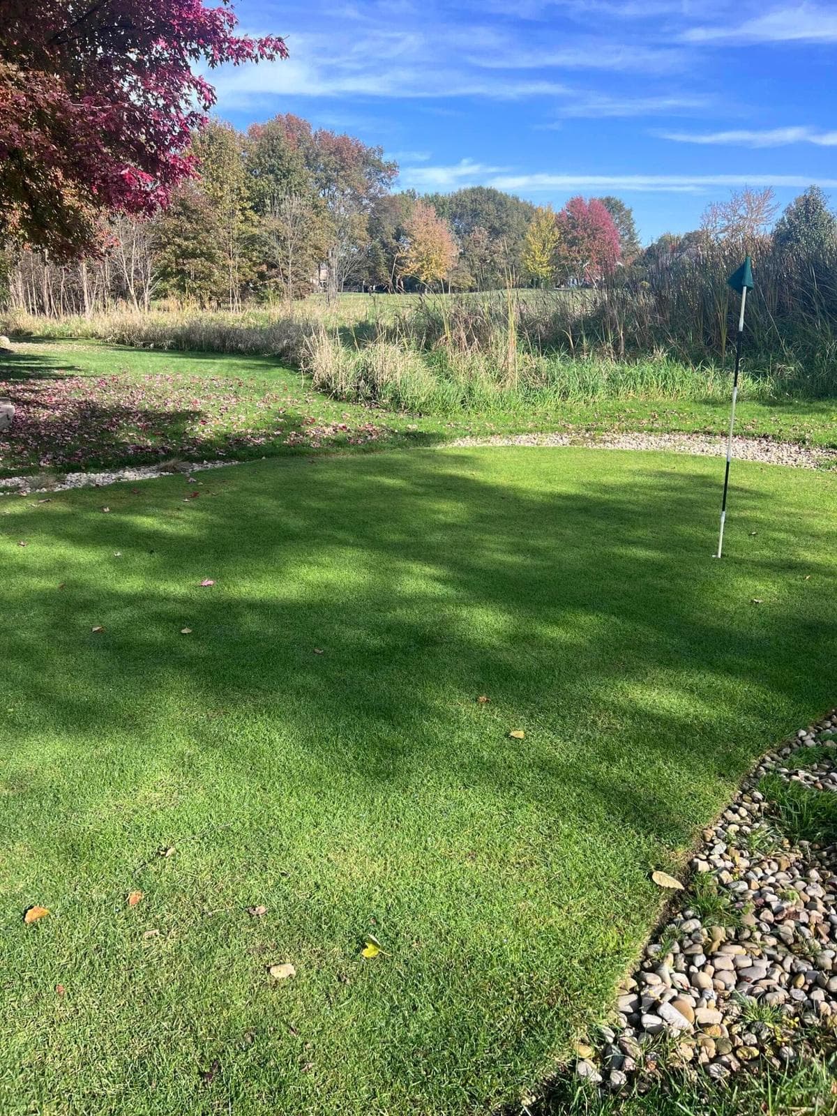 Personal chipping/pitching green. In it's 3rd year of maturity using top grade golf course Bentgrass. Special mower will convey for new owner to maintain proper cut length.