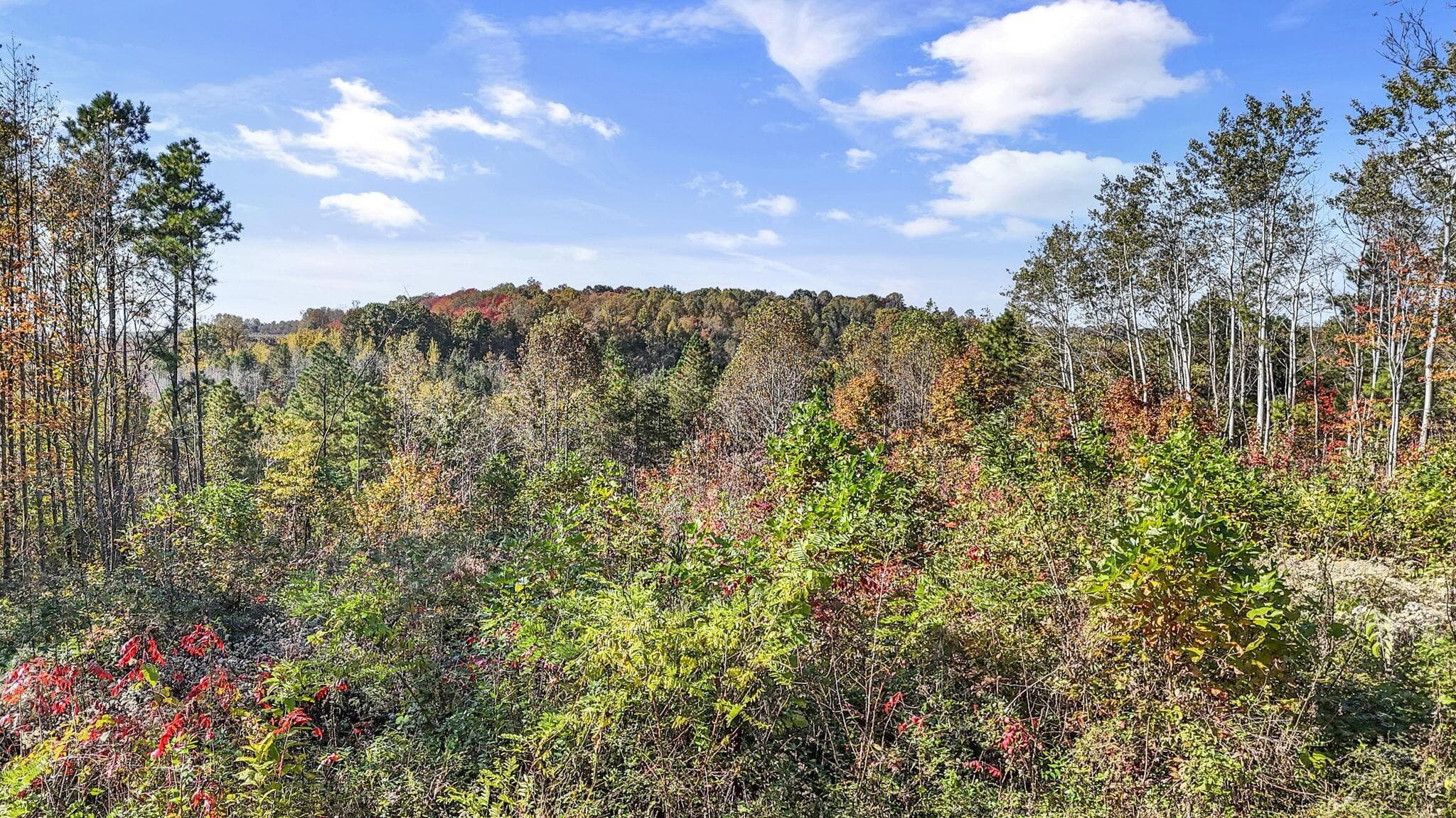 Welcome to 56953 Mills Road, South Bloomingville, OH!