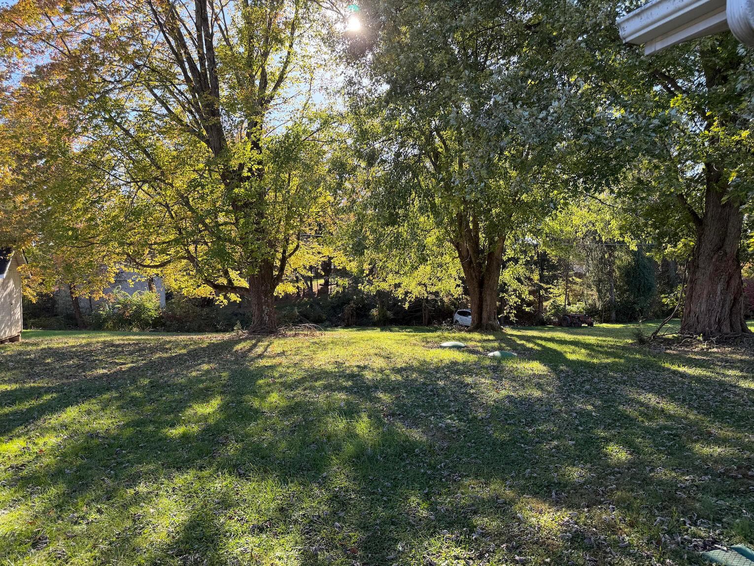 Expansive lawn area featuring mature trees and established perimeter vegetation